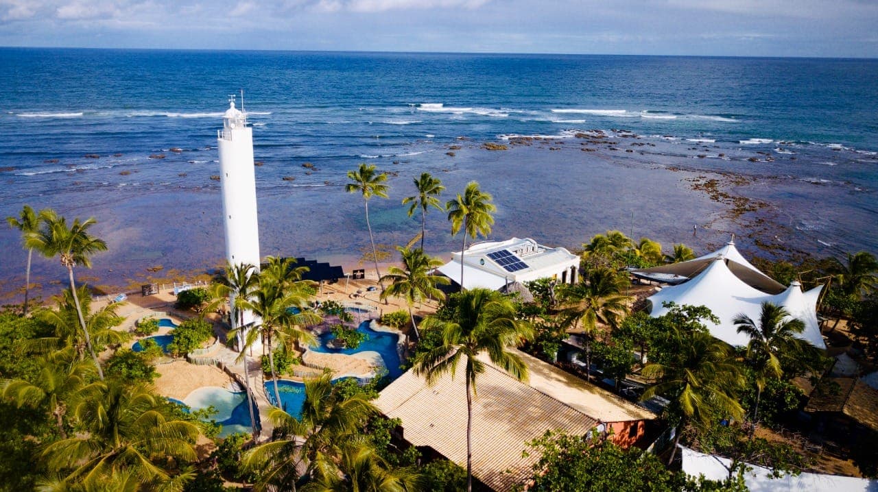 Projeto Tamar Praia do Forte (day trip) - Image 1