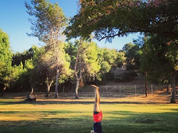 Jesmond Dene - Image 1