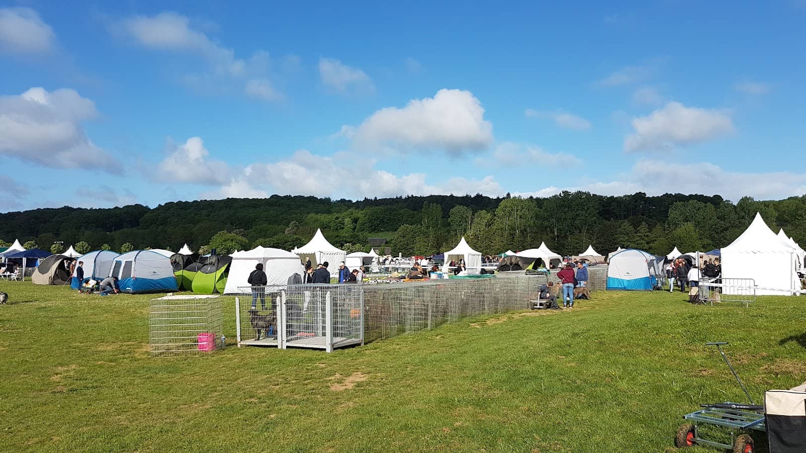 Rock Festivals