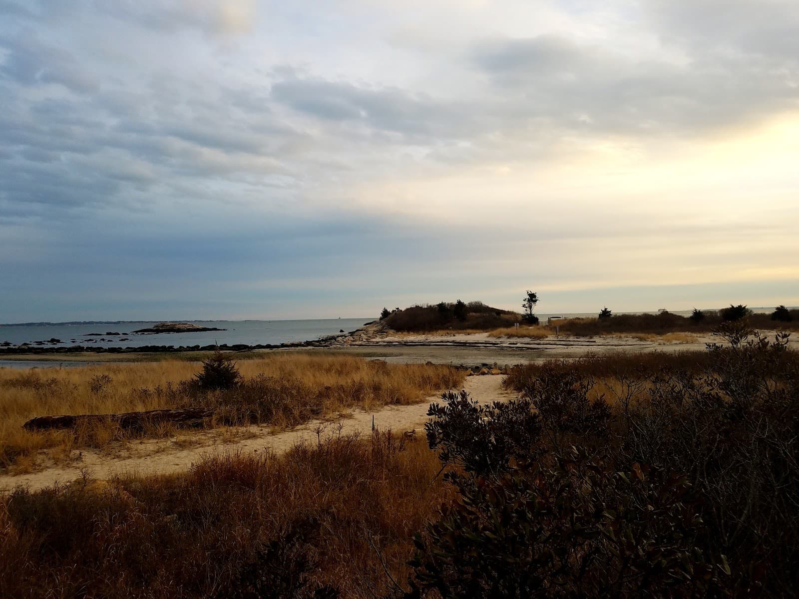 Alewife Cove Nature Walk - Image 1