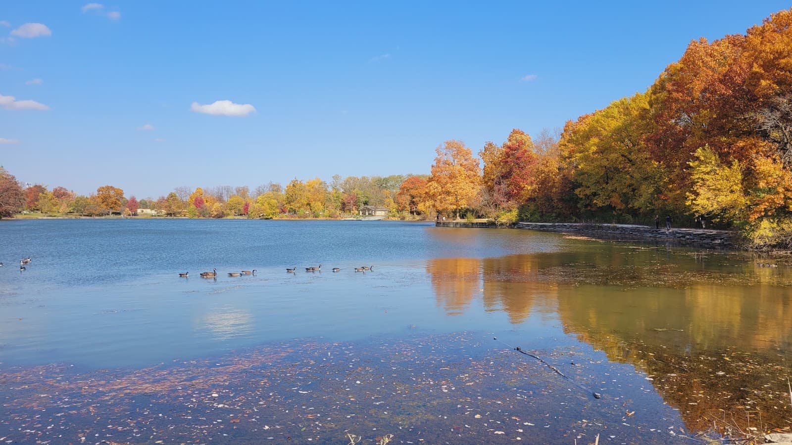 Herrick Lake Forest Preserve - Image 1
