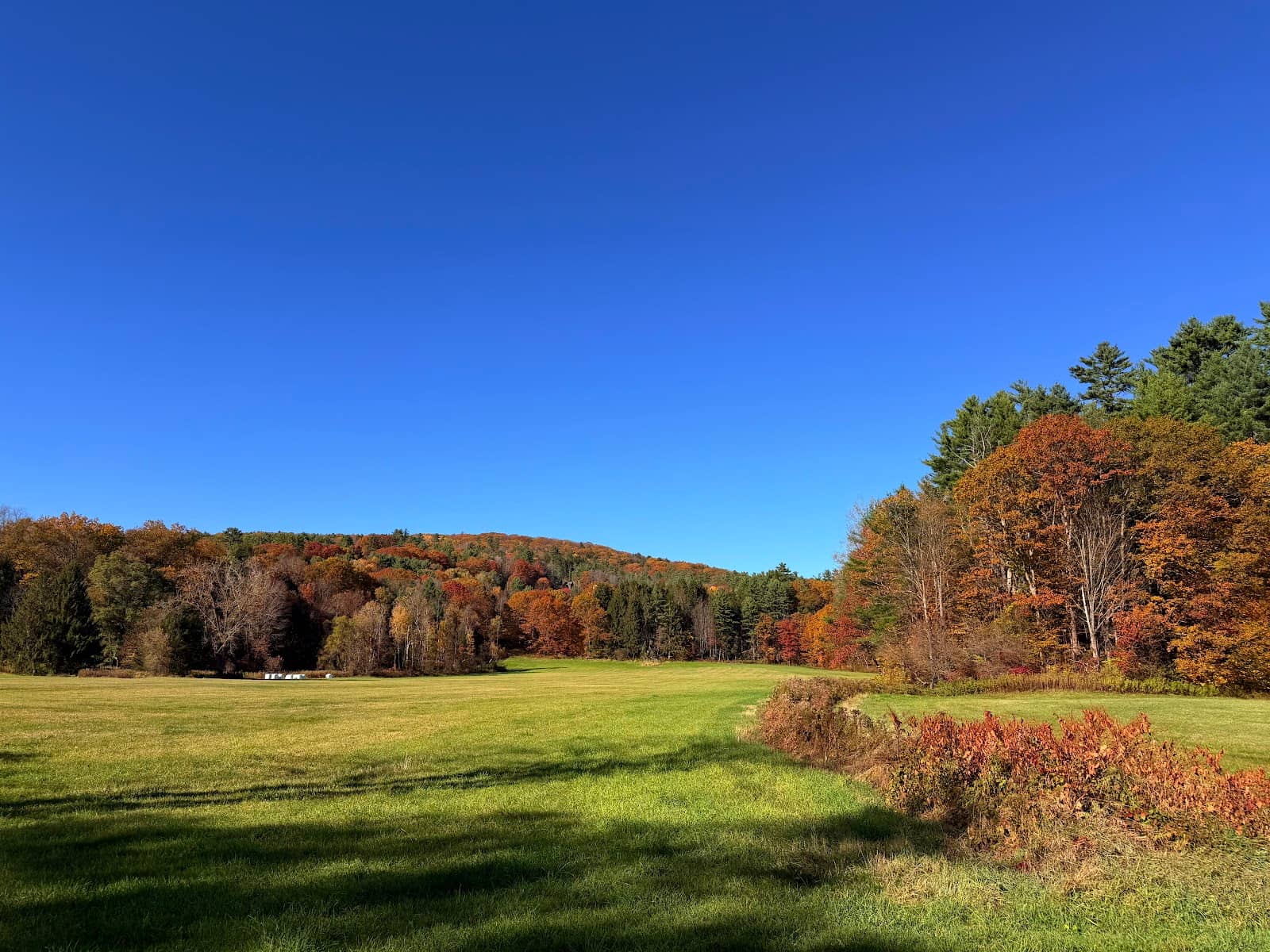 Family Picnic Spots