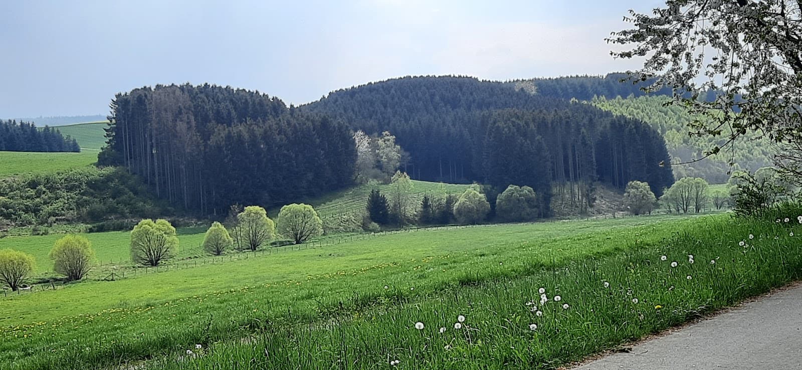 Ruwer-Hochwald Rail Trail - Image 1