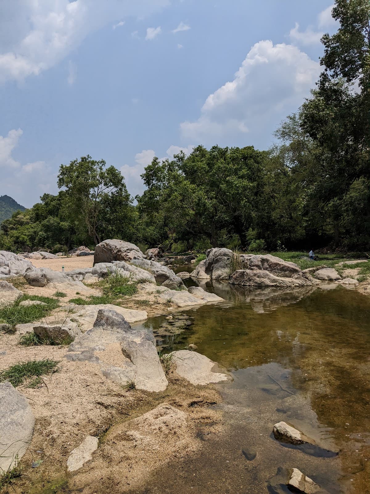 Kaundinya Wildlife Sanctuary - Image 1