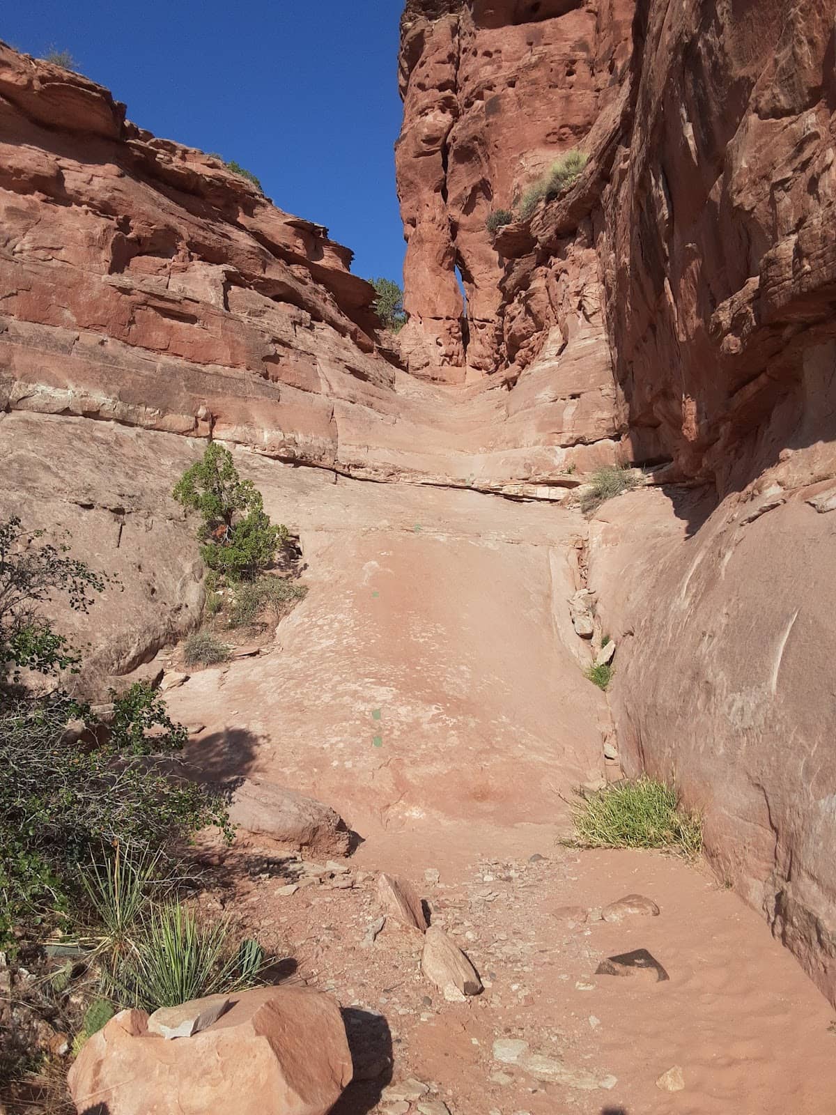 Vertical photo