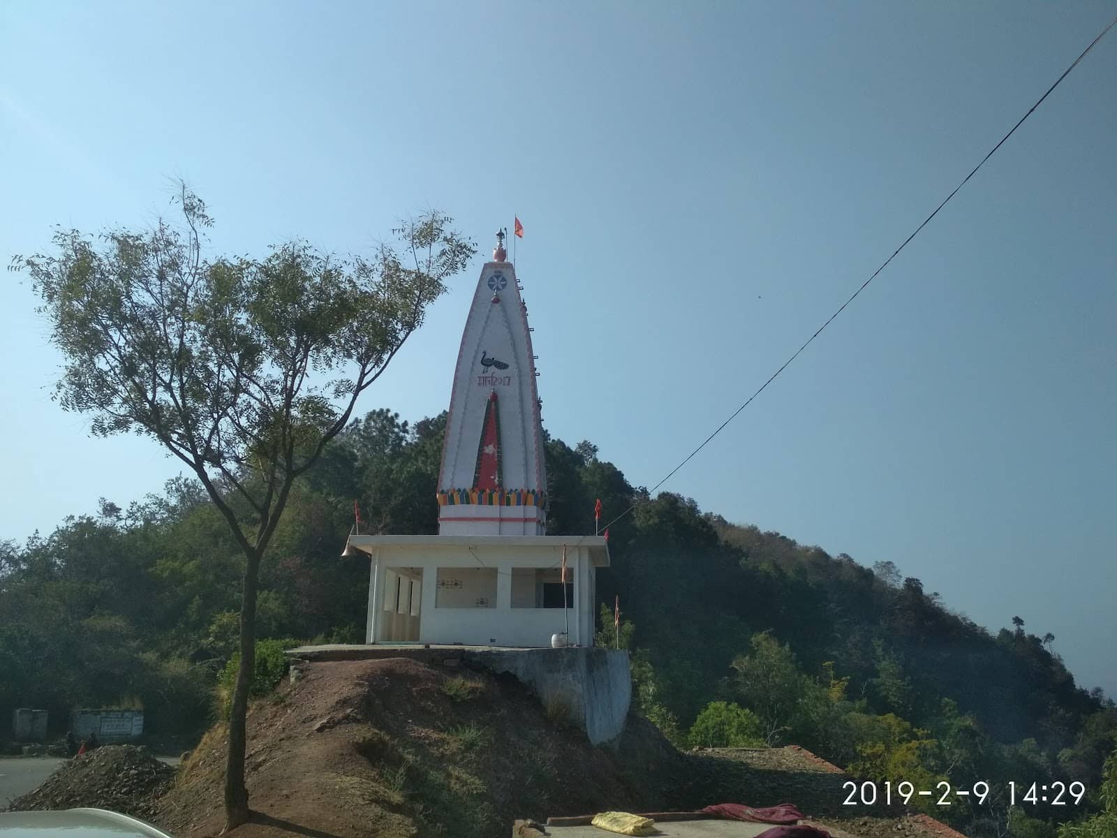 Thapli Forest