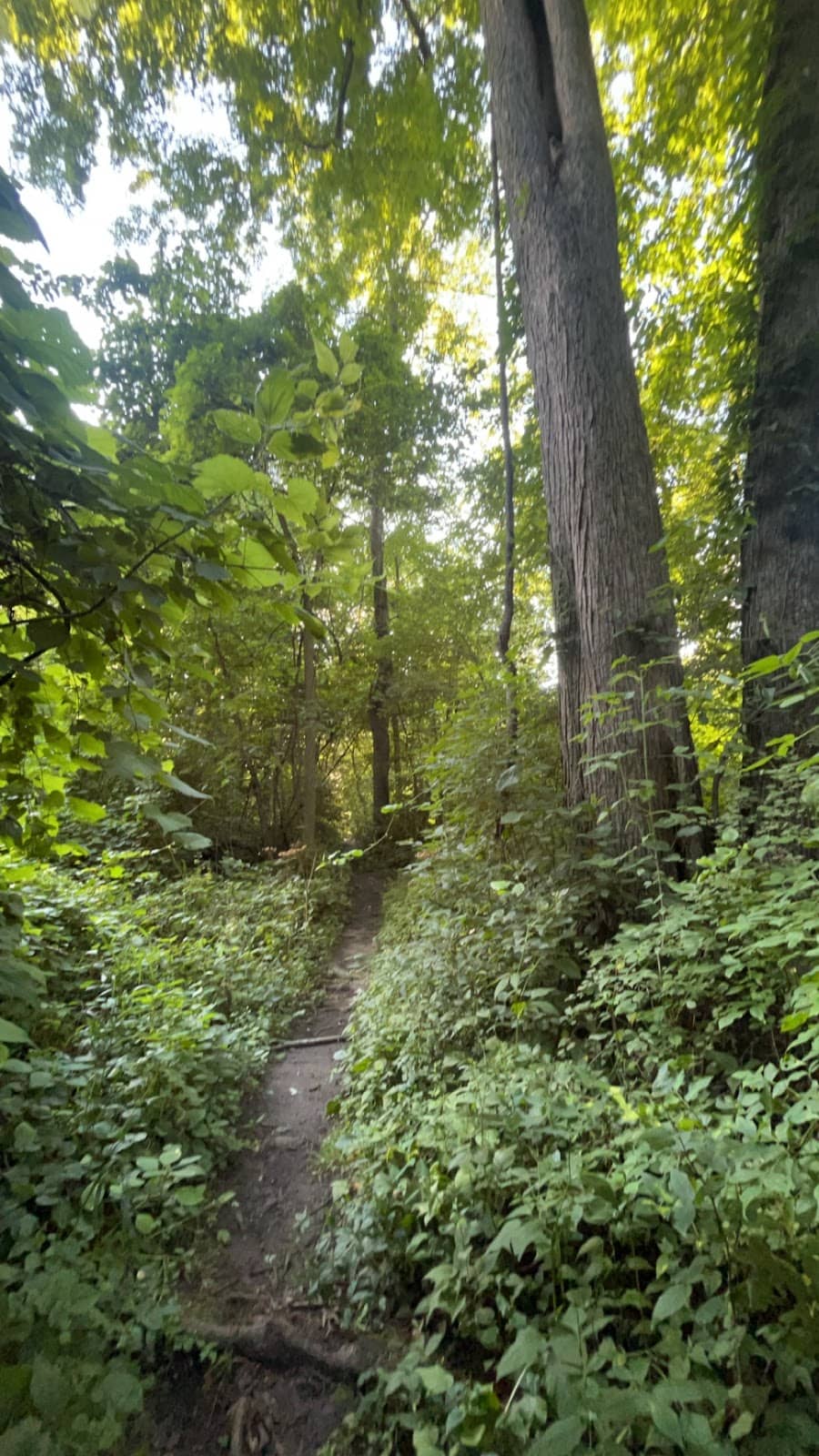 Peaceful Waterside Hike