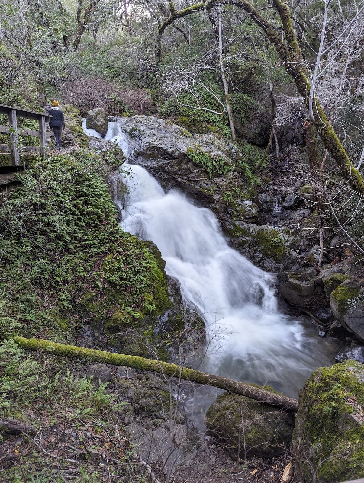 Cascade Canyon Open Space Preserve - Image 1