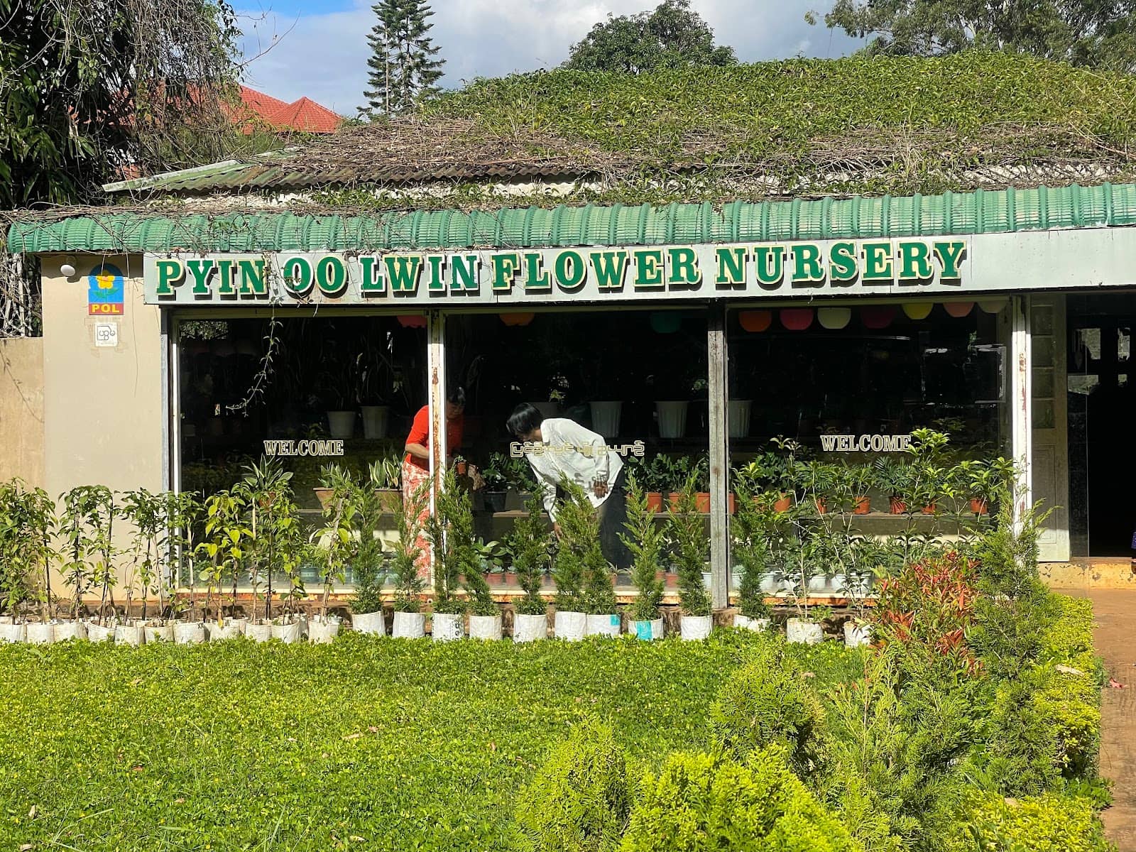 Local Crafts & Snacks