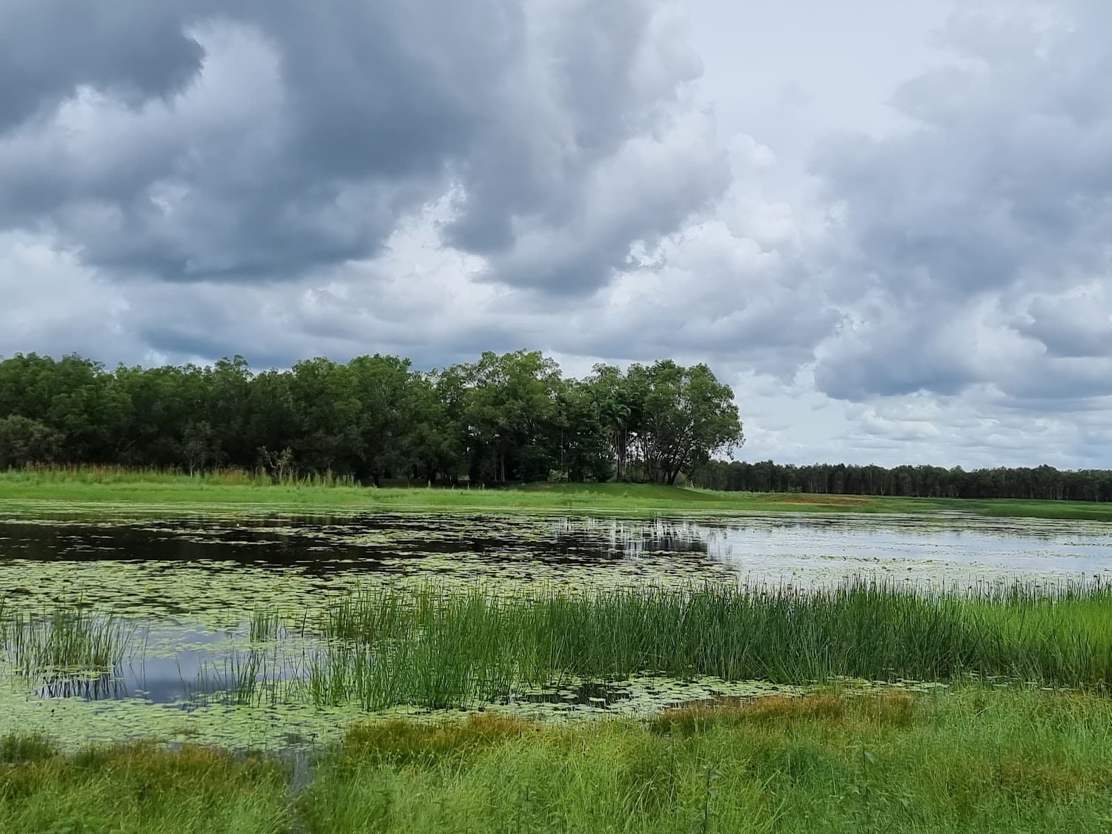 McMinns Lagoon Reserve - Image 1