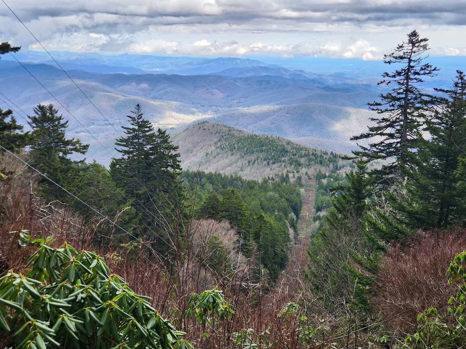 Mount Mitchell Trail - Image 1