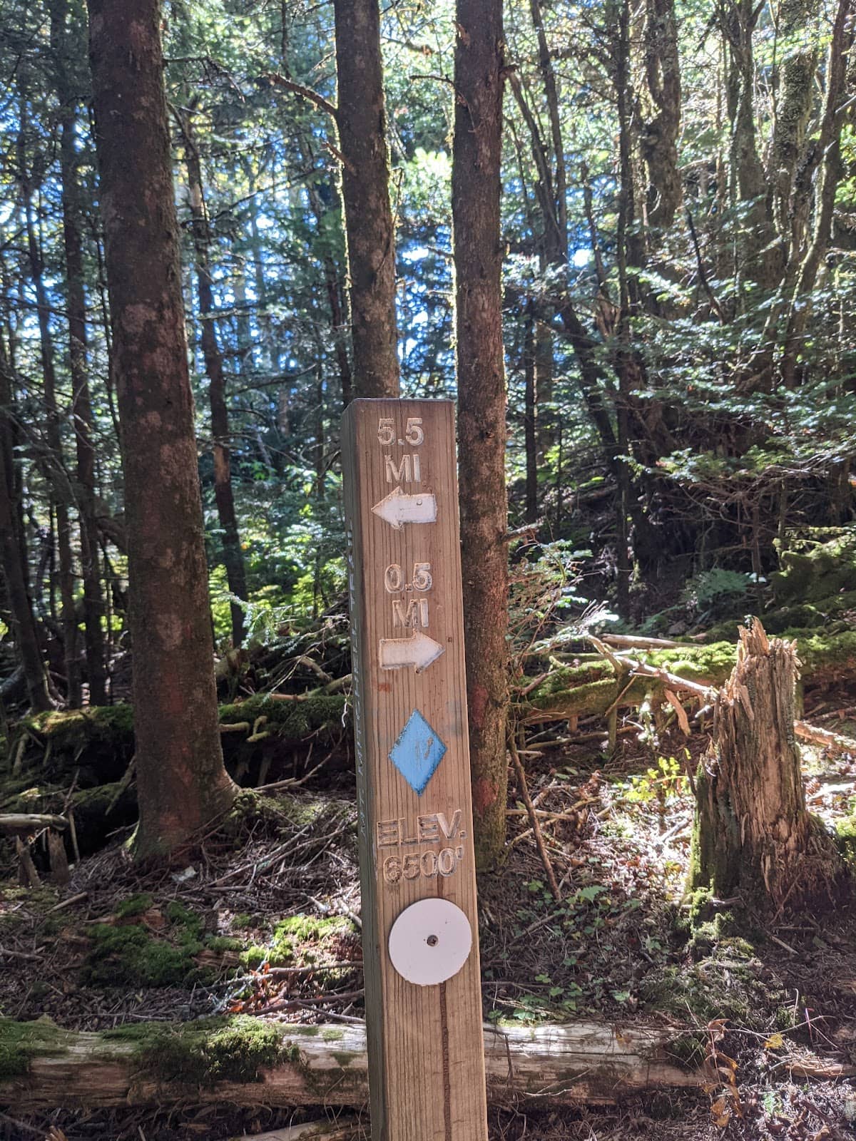 Vertical photo