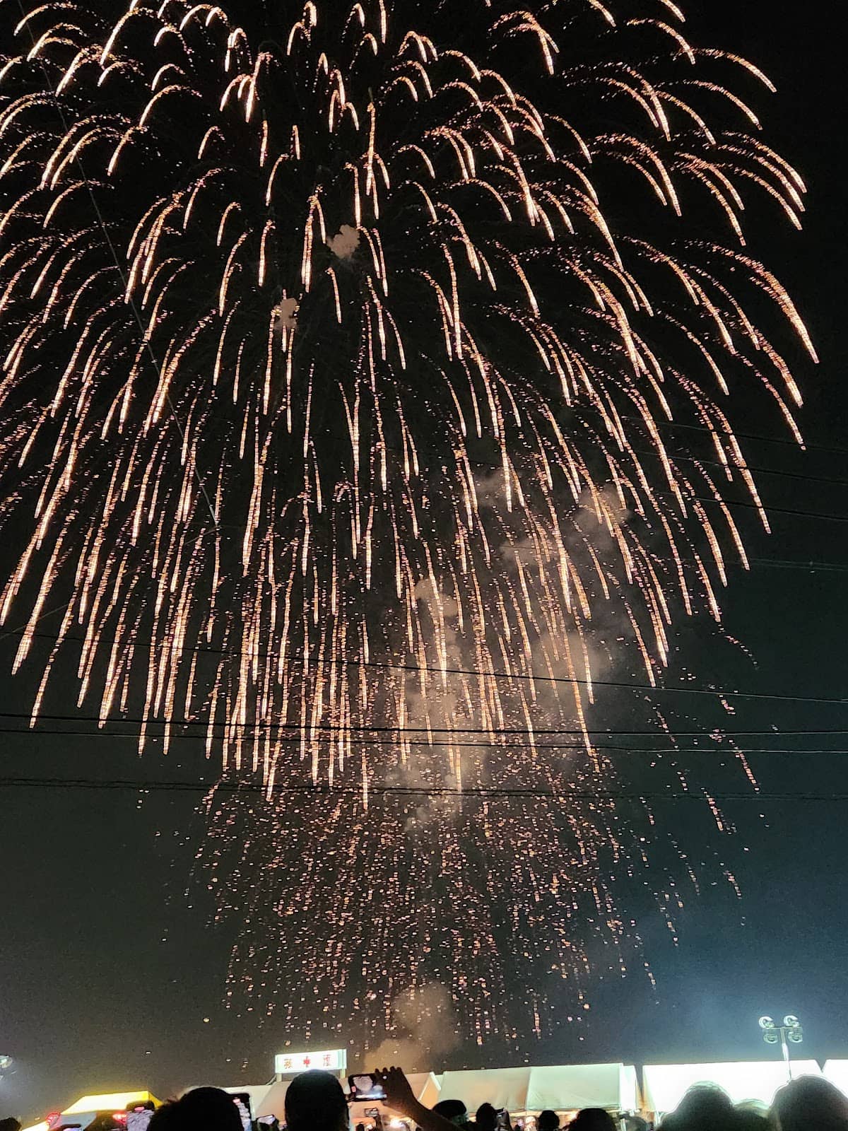 Annual Fireworks Display