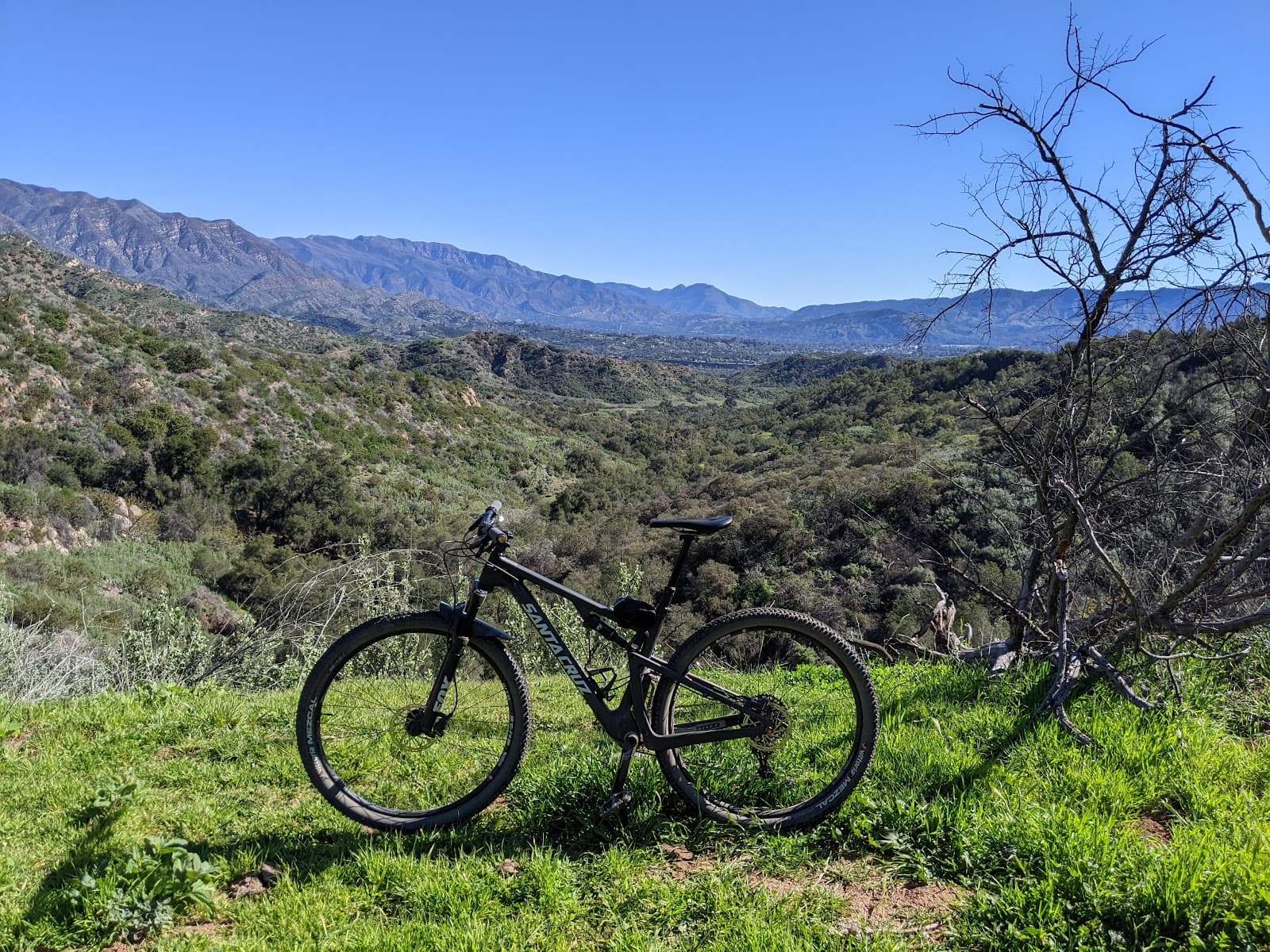 Ventura River Preserve - Image 1