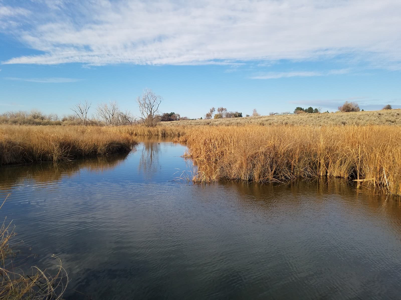 McNary National Wildlife Refuge - Image 1
