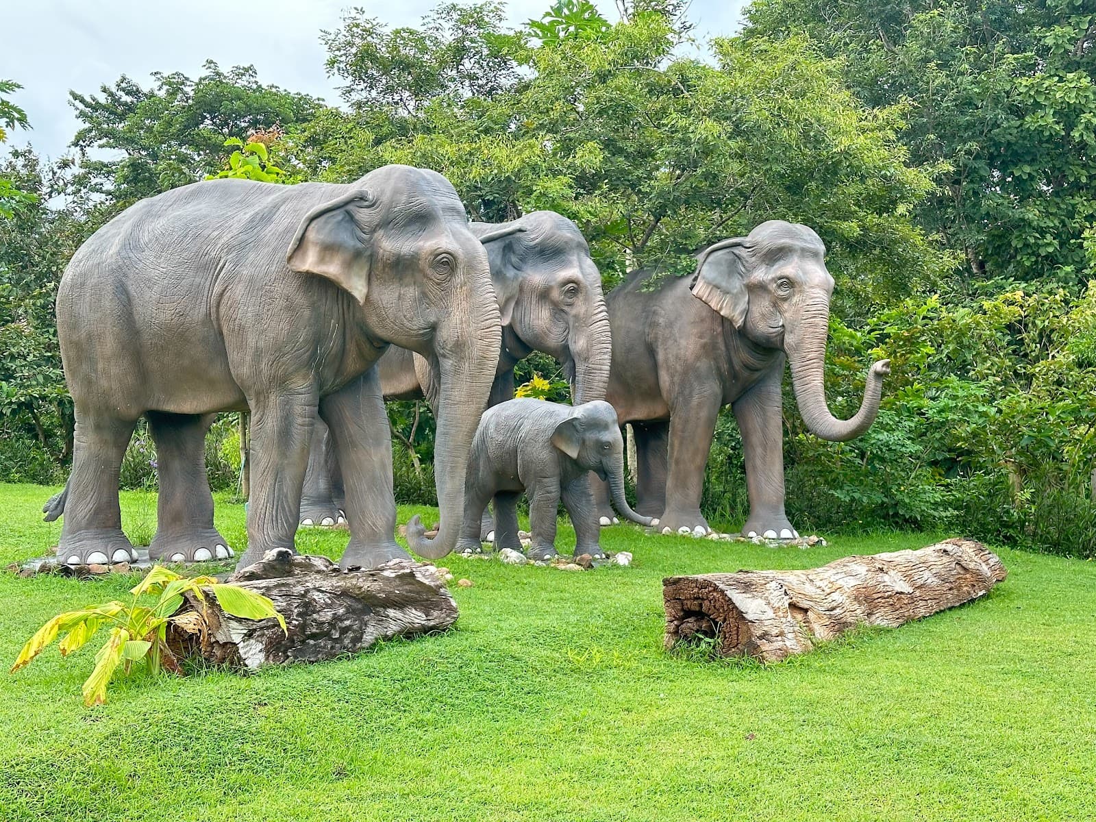 Sap Langka Wildlife Sanctuary - Image 1