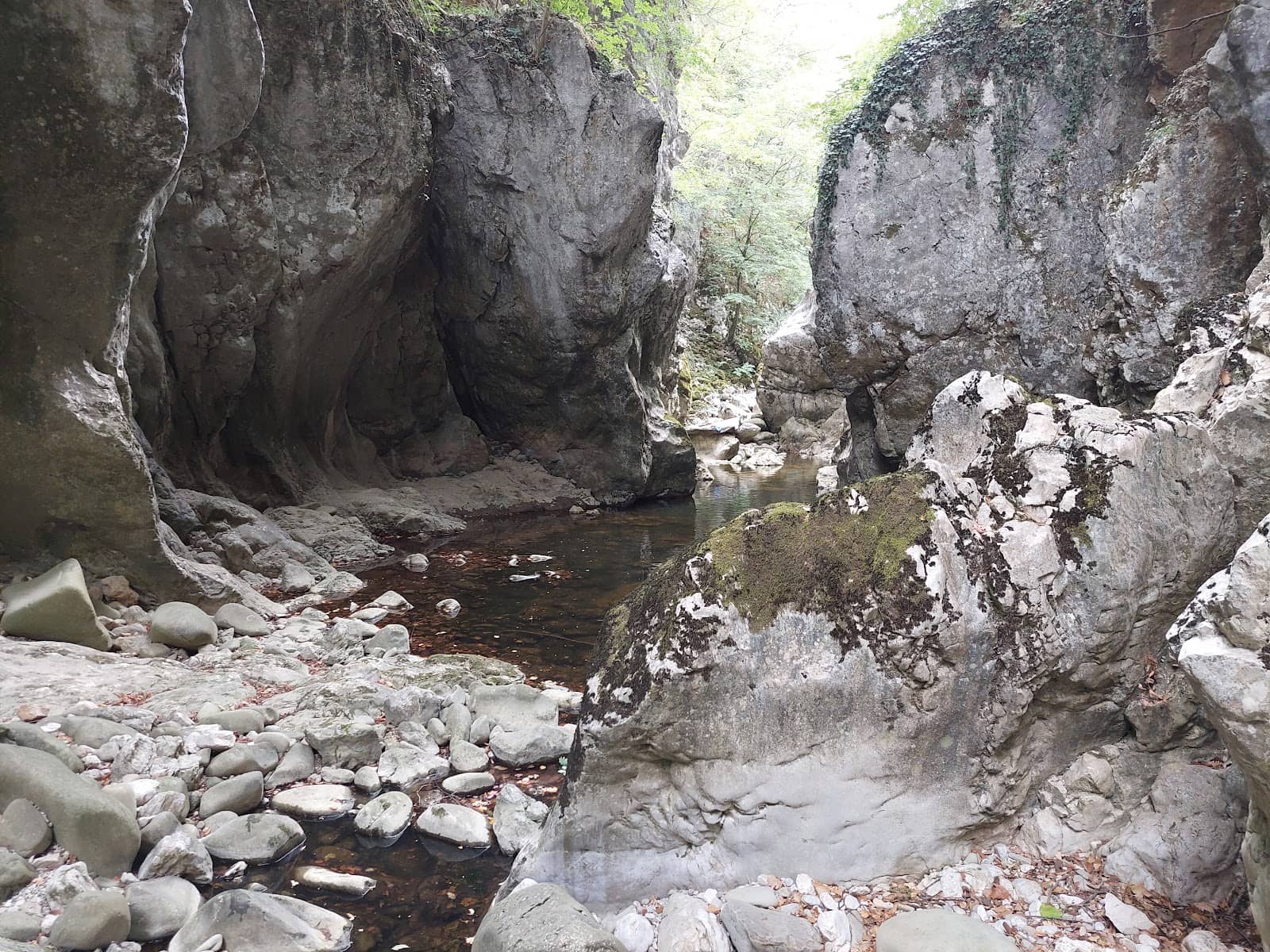 Scenic Footpath