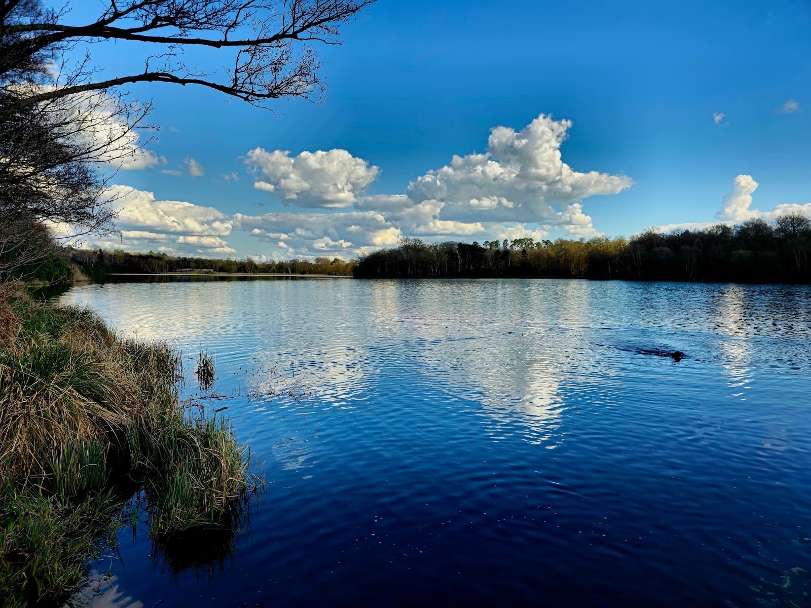 Virginia Water Lake - Image 1