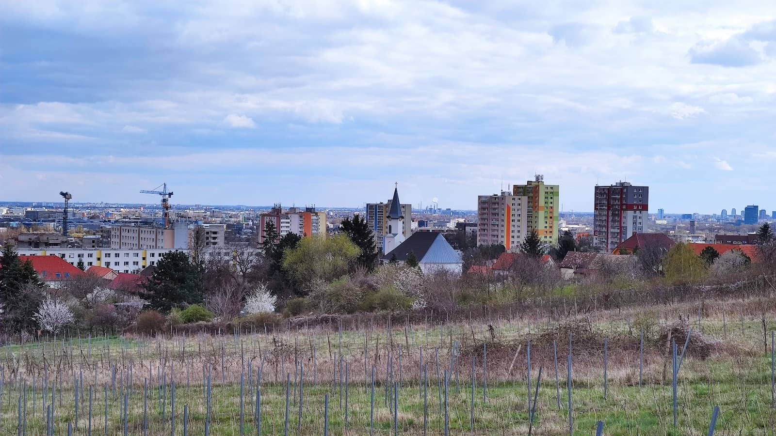 Warden Sniper Dominance