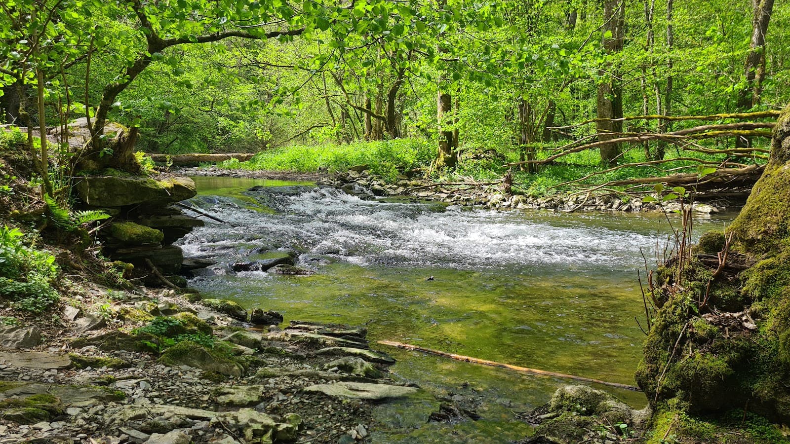 Moselkern Eltz Trailhead - Image 1