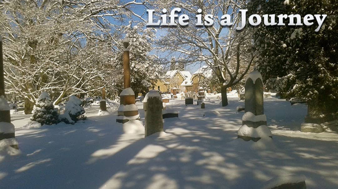 Beautifully Maintained Grounds