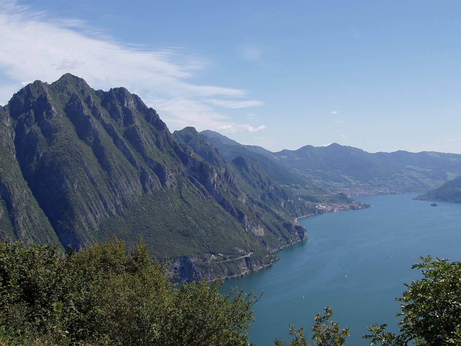 Vertical photo
