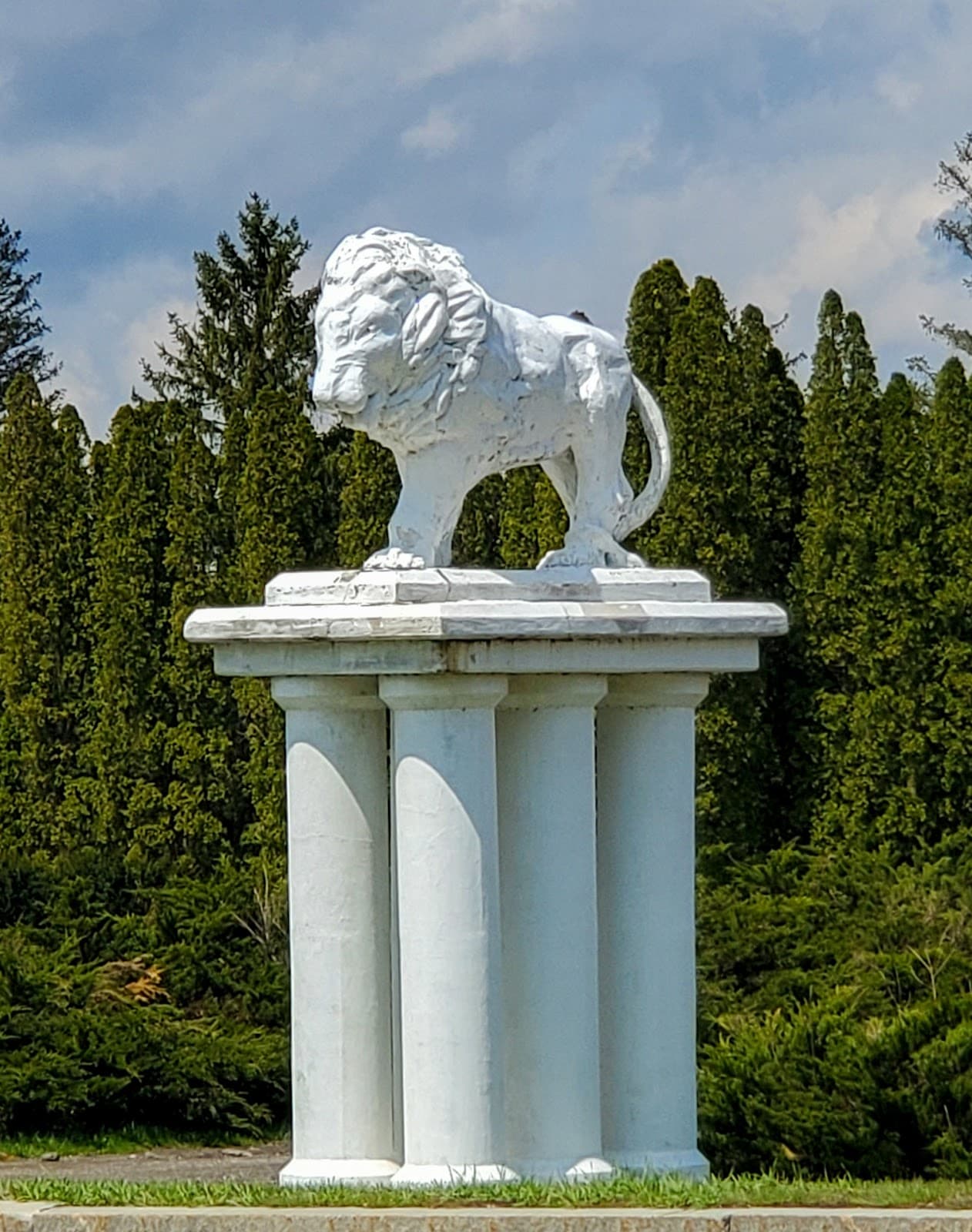 The Spruces Park - Image 1