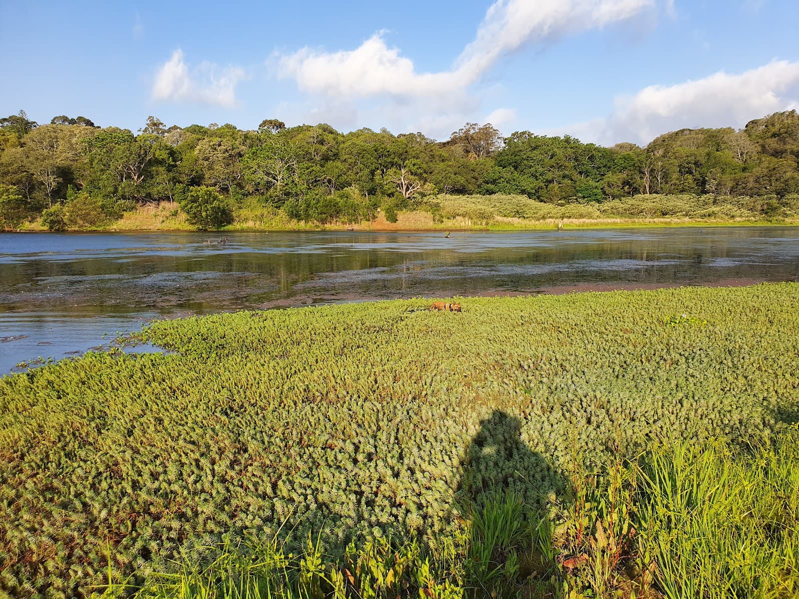 Jerrara Wetlands - Image 1