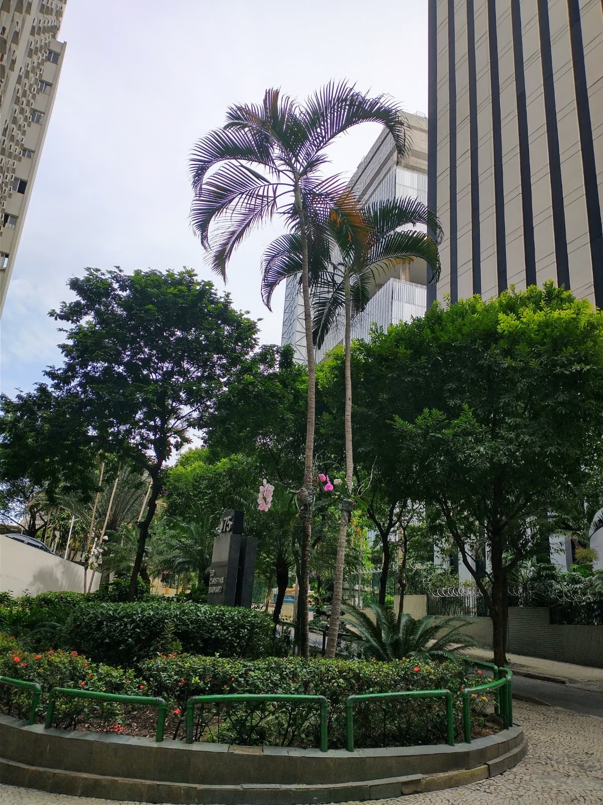 Lapa Rio de Janeiro - Image 1