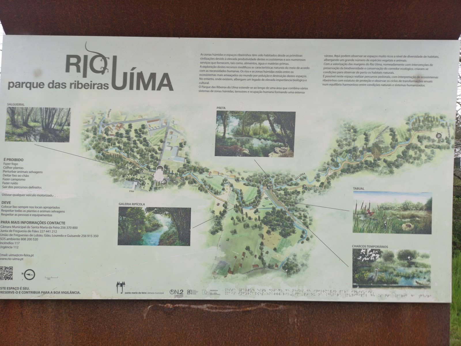 Ecological Information