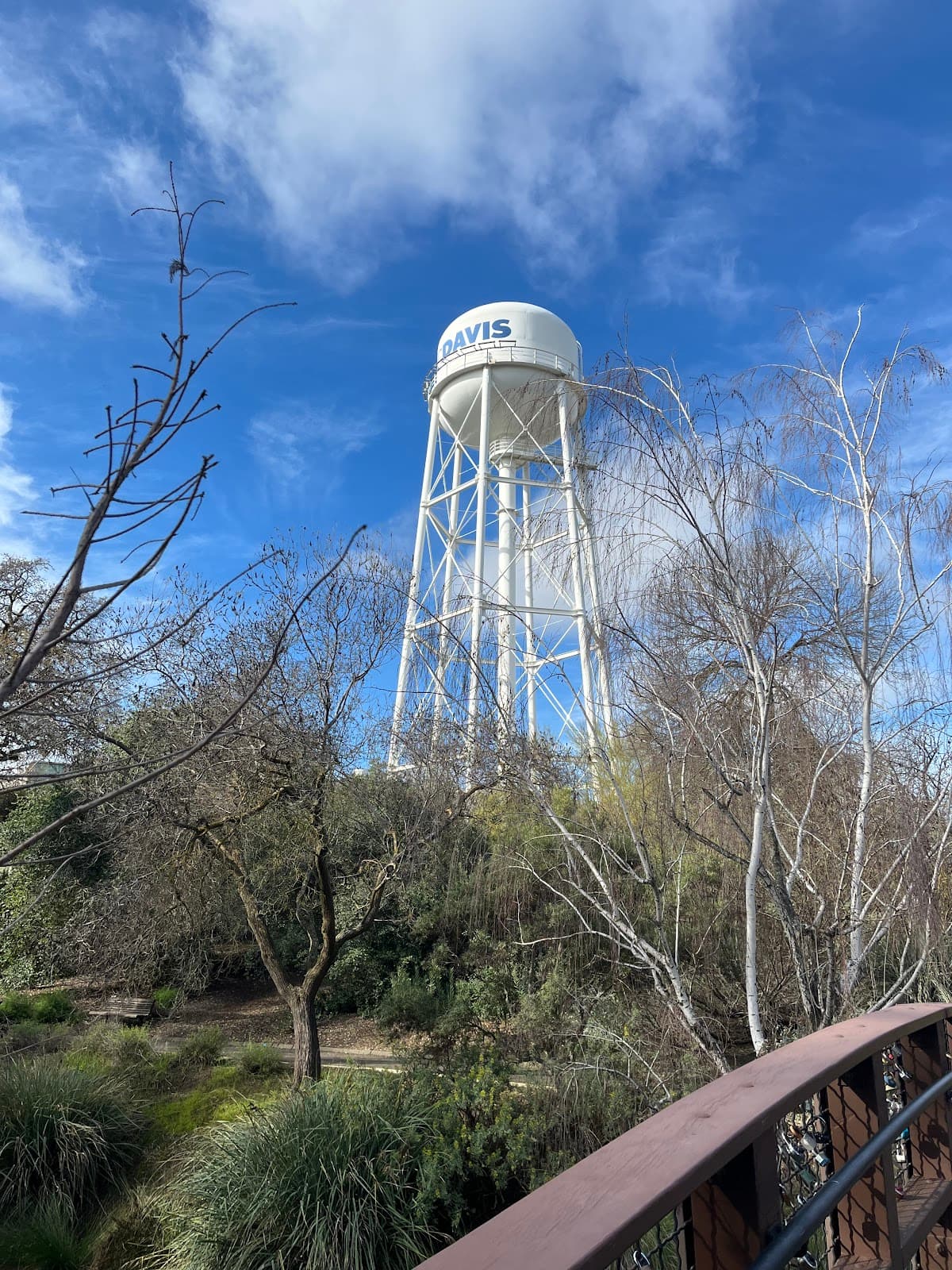 UC Davis Water Tower - Image 1