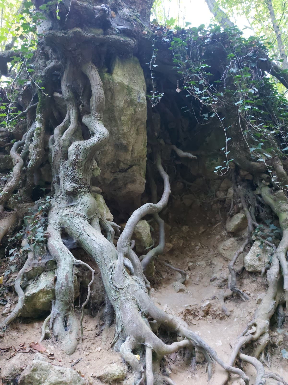 Dera Gorge - Image 1