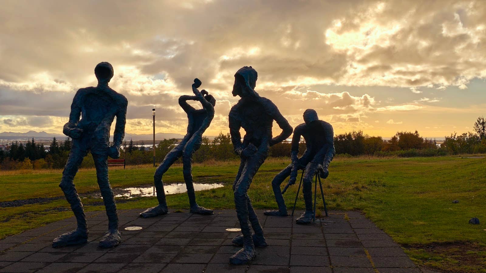 Forest Walking Trails