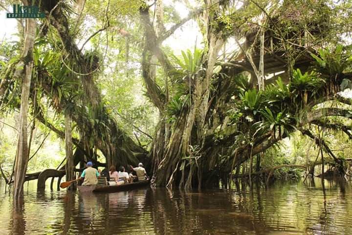 Tingana Conservation Area - Image 1