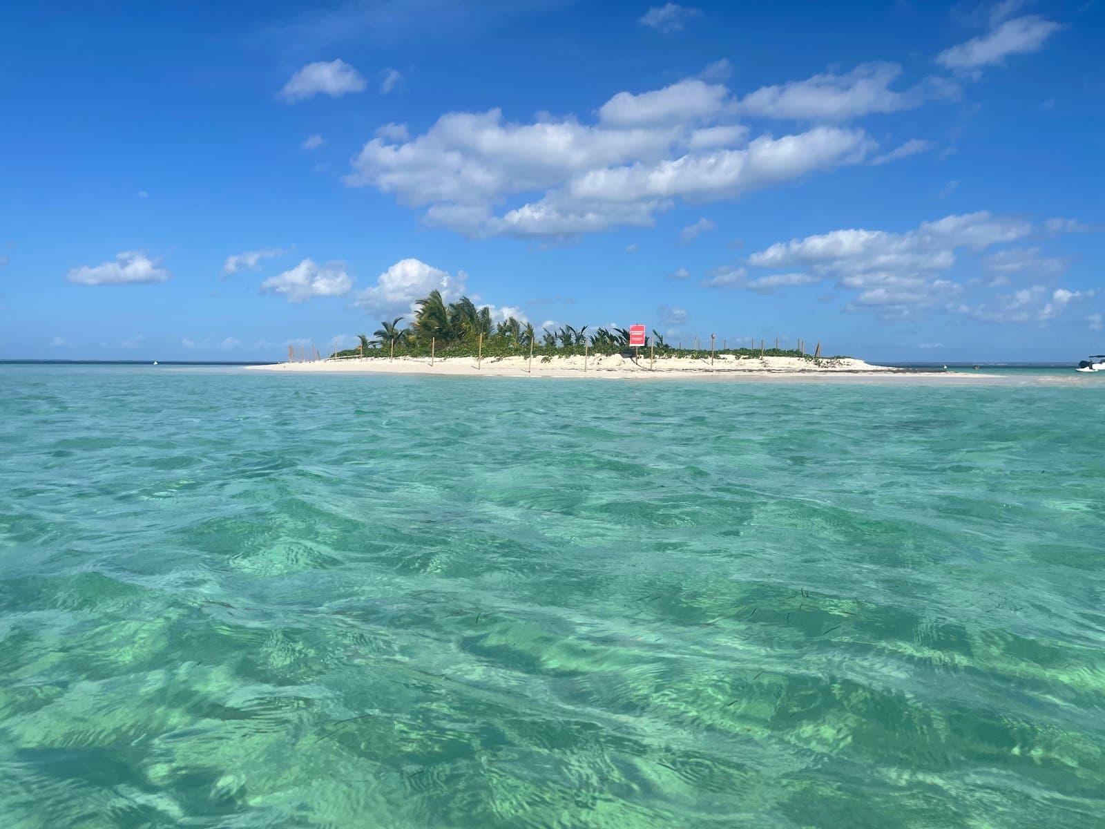 Grand Cul-de-Sac Marin Mangroves - Image 1