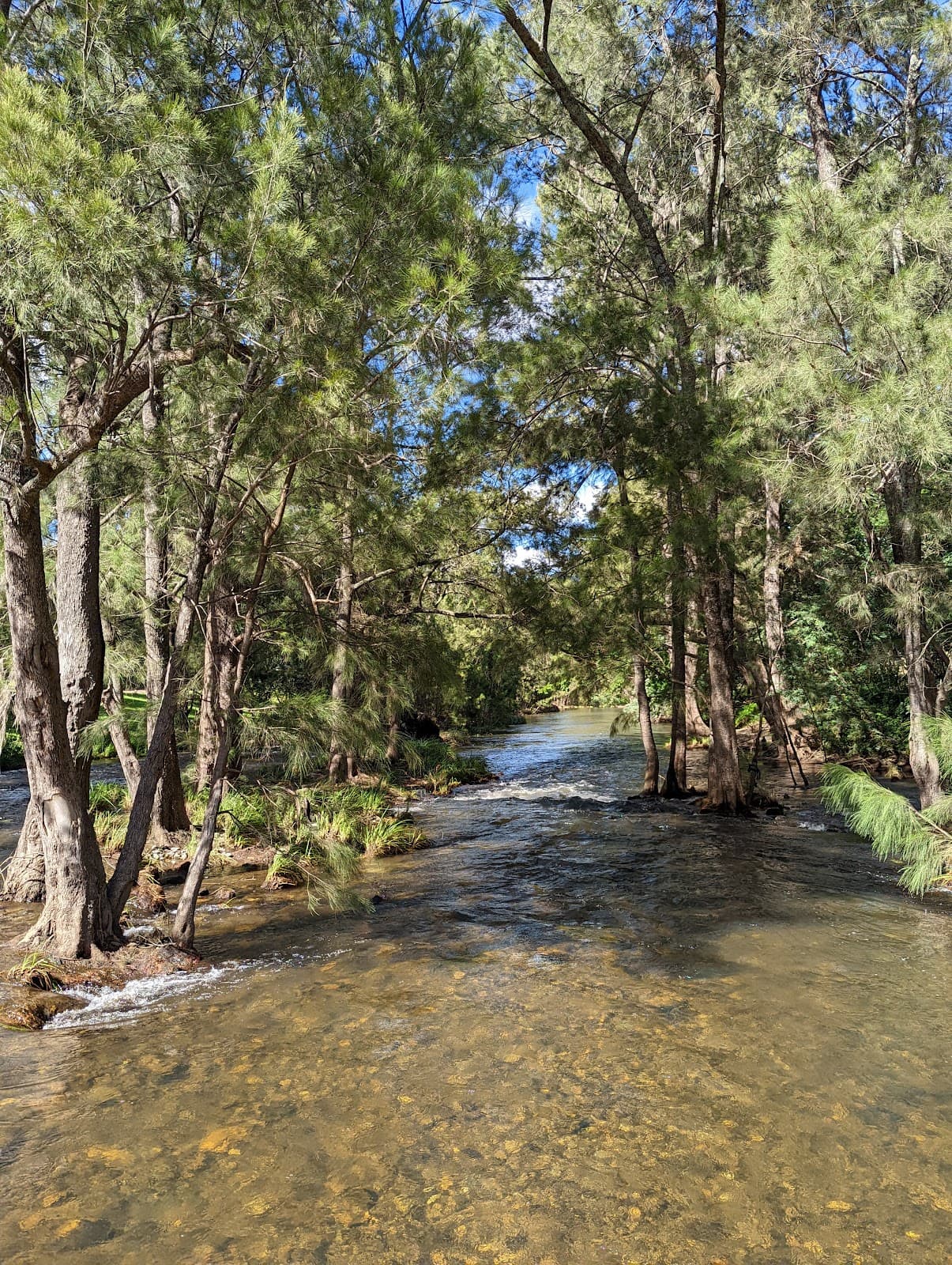 Cotter Bend Reserve - Image 1
