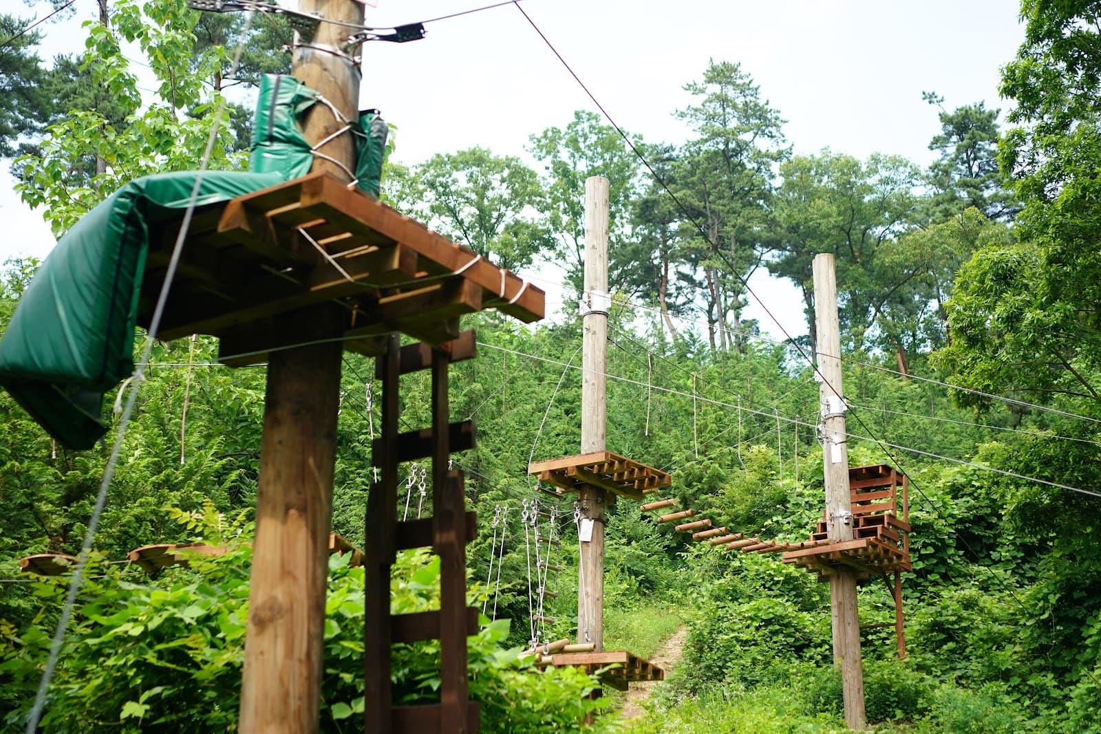 Yongin Natural Recreation Forest - Image 1
