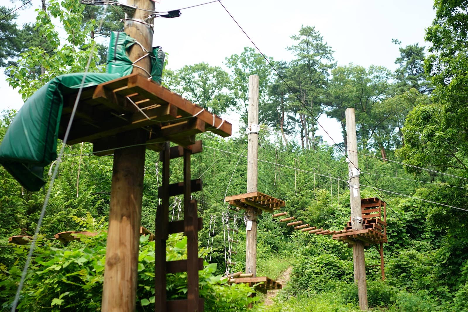 Zipline Adventure