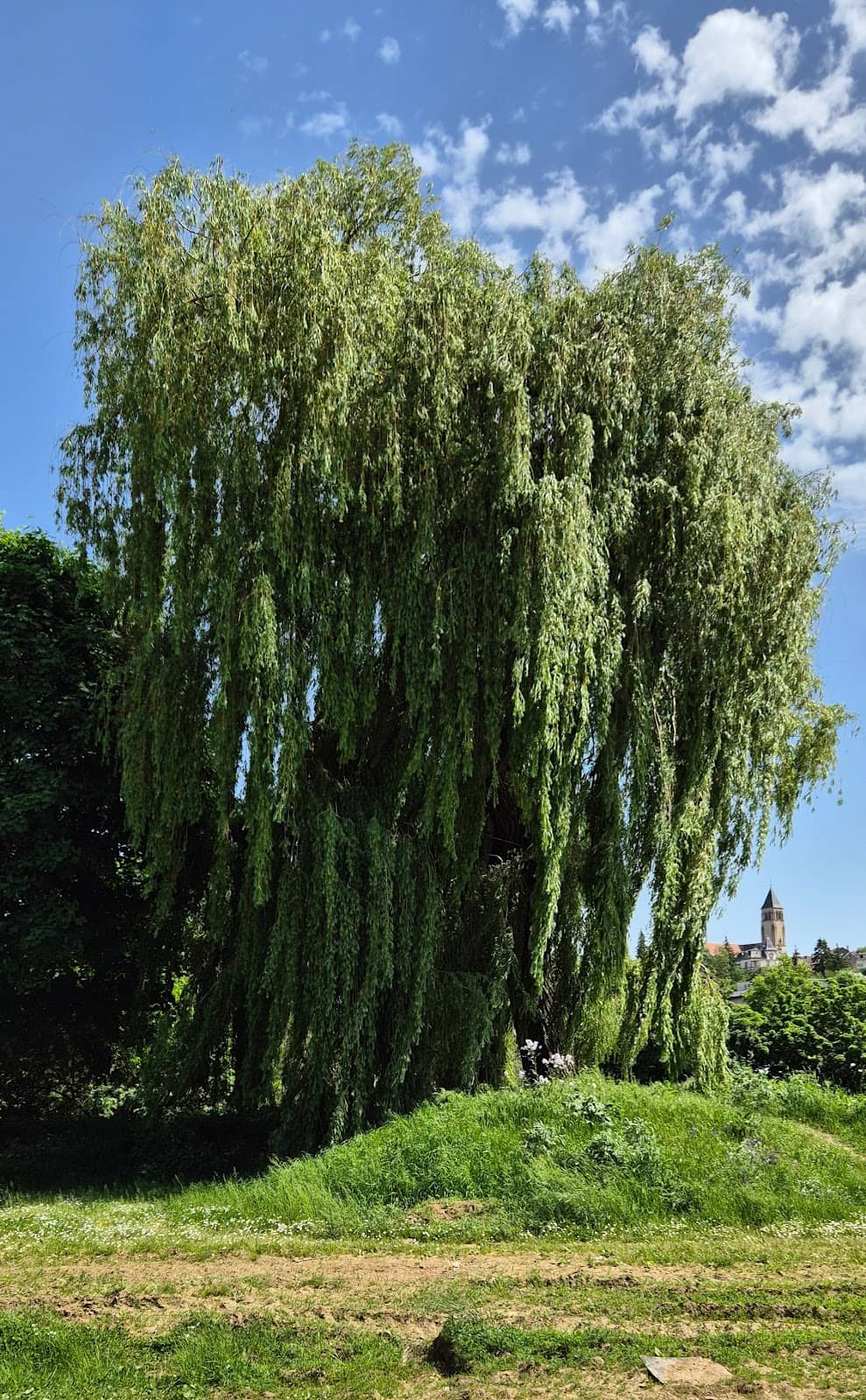 Vertical photo