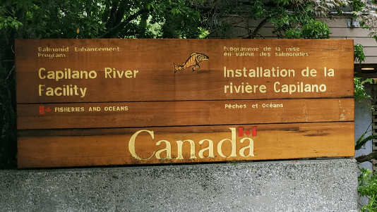 Capilano Salmon Hatchery Vancouver - Image 1