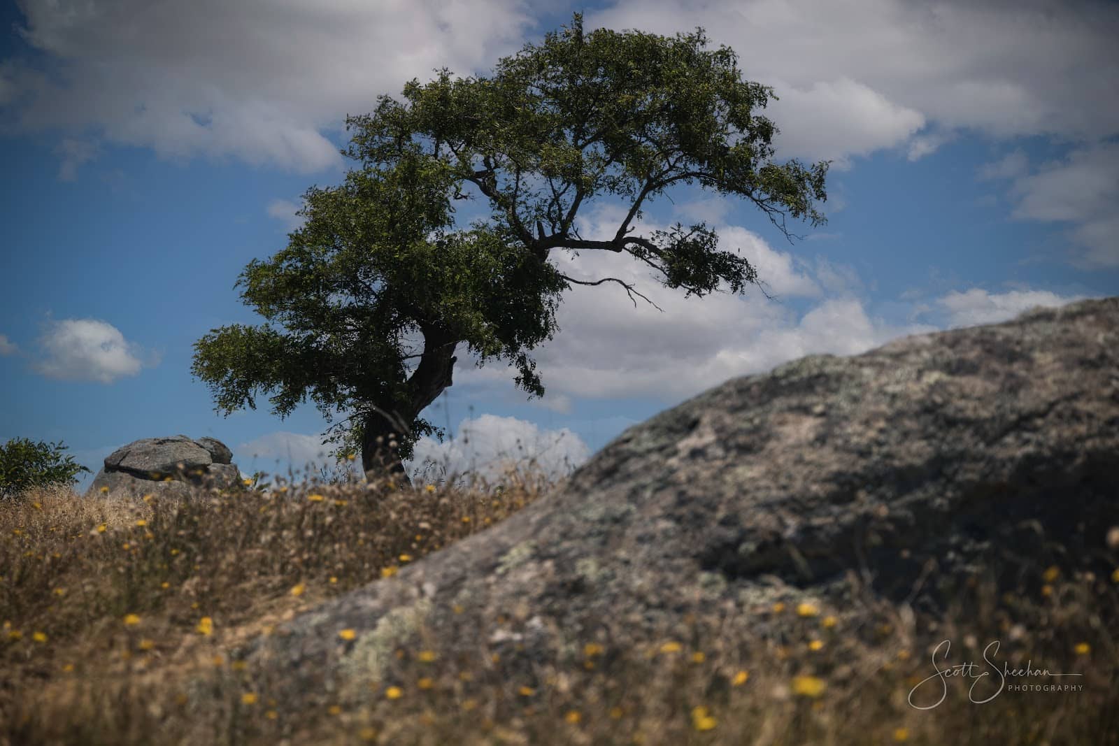 Vertical photo