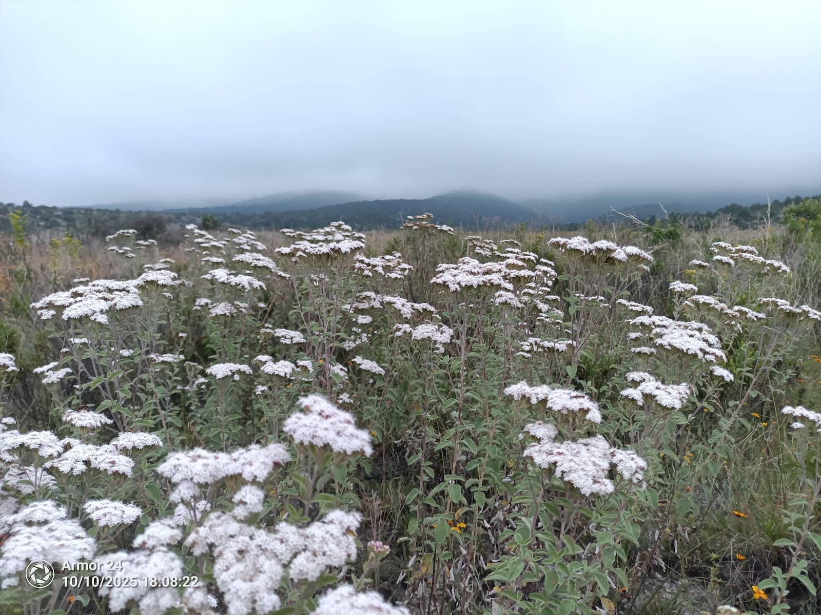 Scenic Overlooks