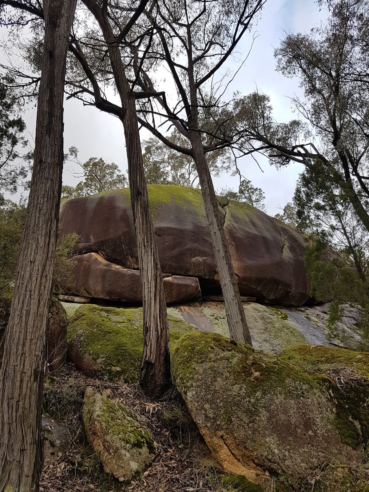 Beechworth Historic Park - Image 1