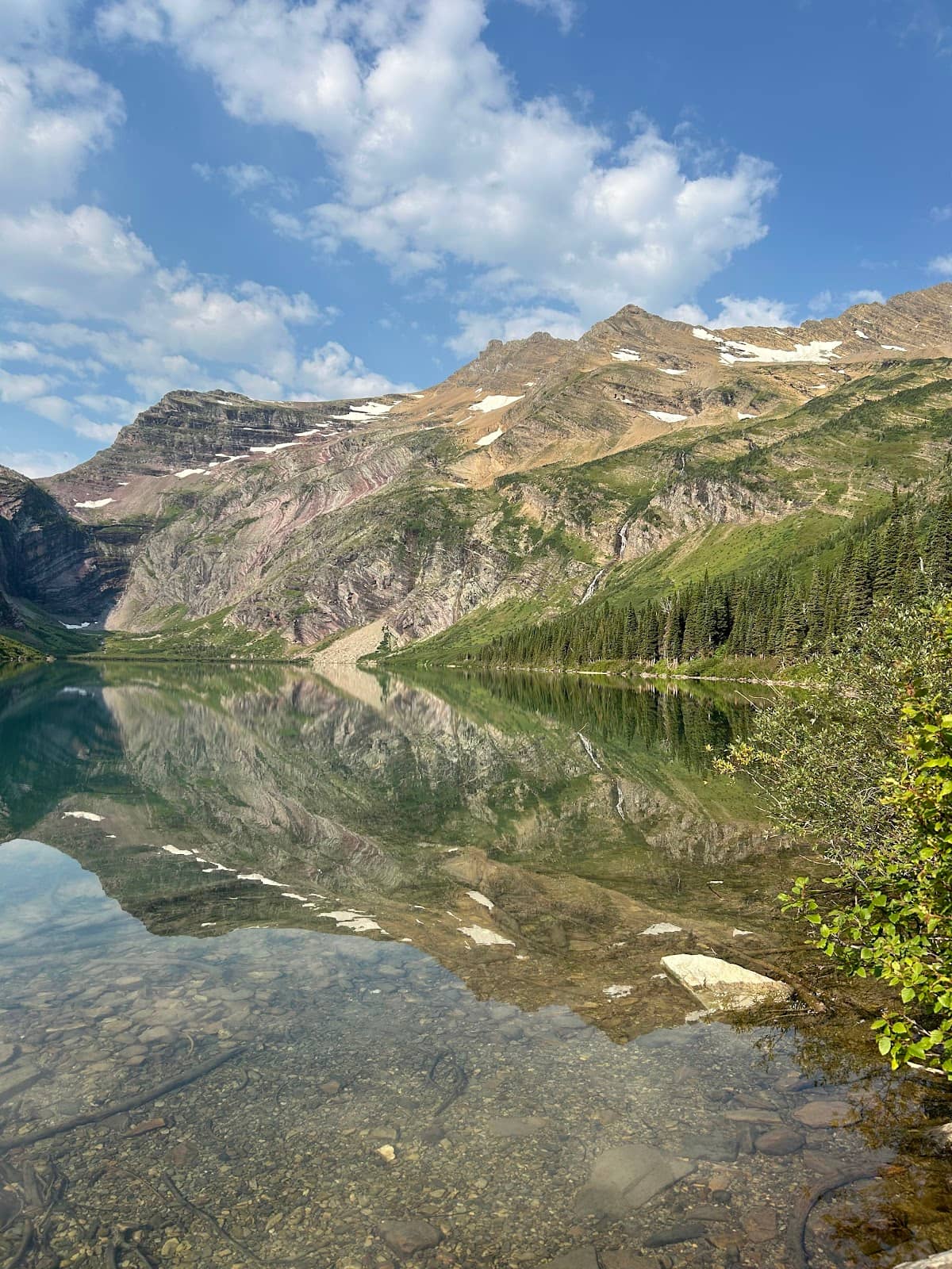 Jackson Glacier Views