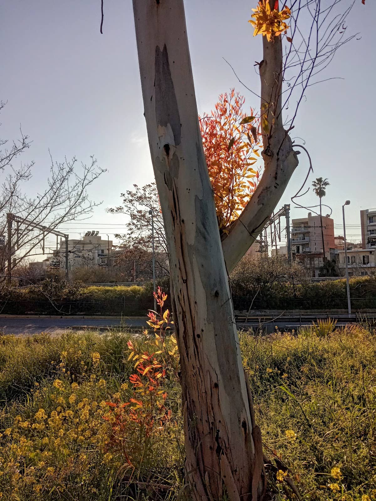 Vertical photo