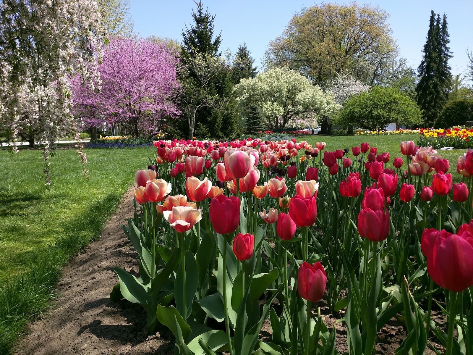 Foster Park - Image 1