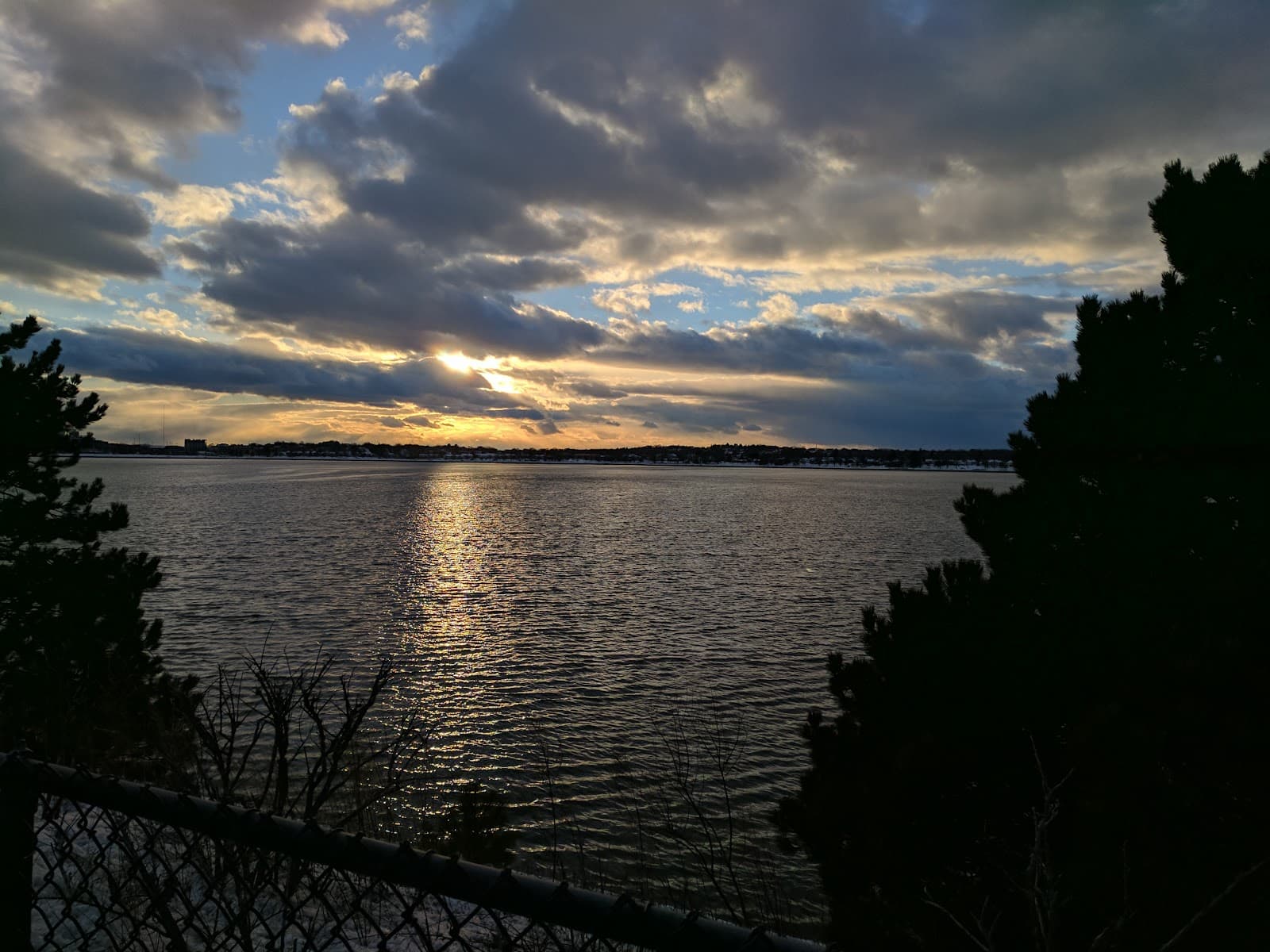 Back Cove Trail - Image 1