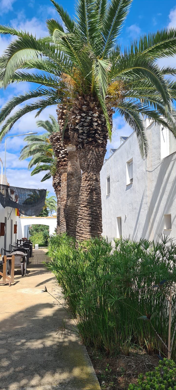 Poblenou del Delta - Image 1