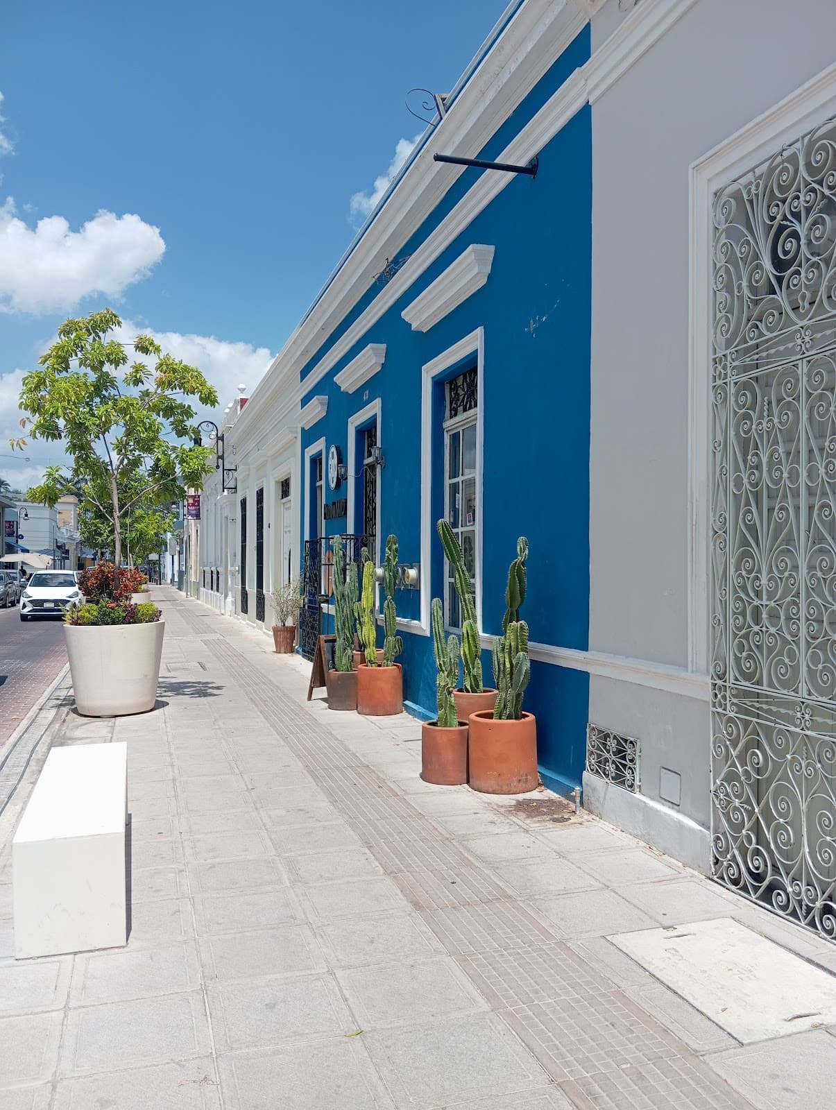 Calle 47 Corridor - Image 1