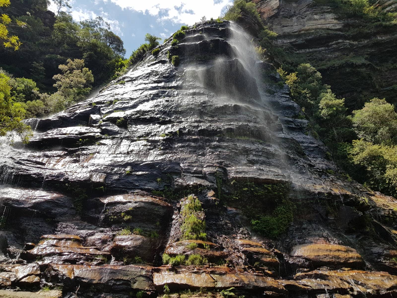 Leura Infinity Pool